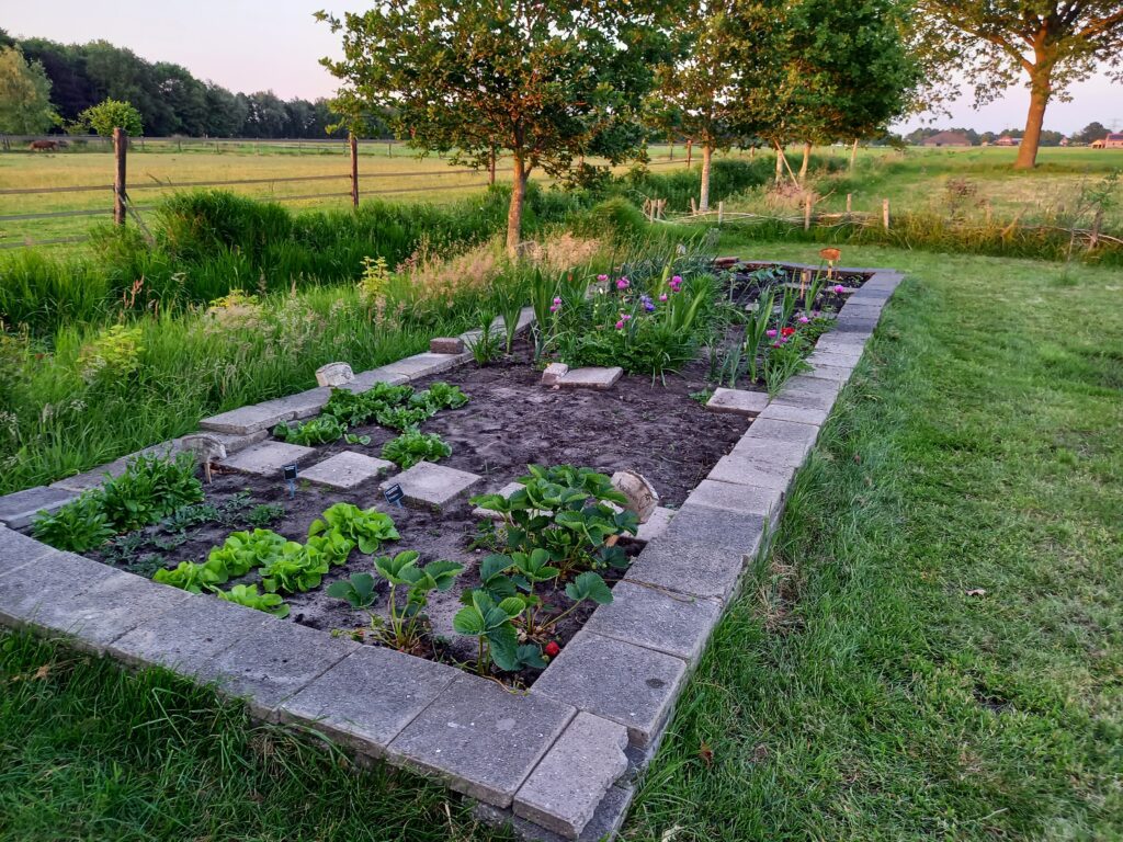 Moestuin