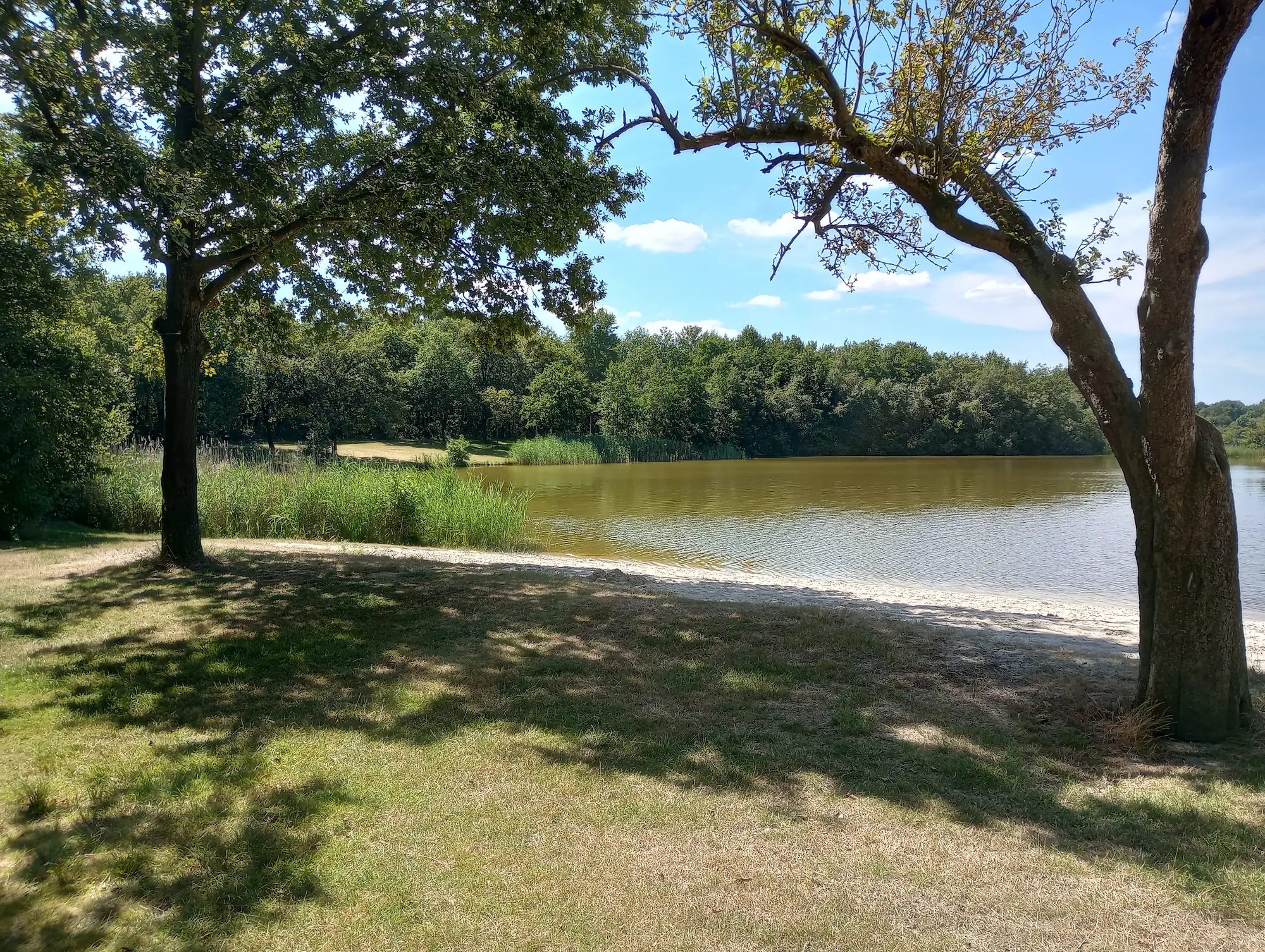 Wandelgebied nabij Camping Buitenplaats Drenthe